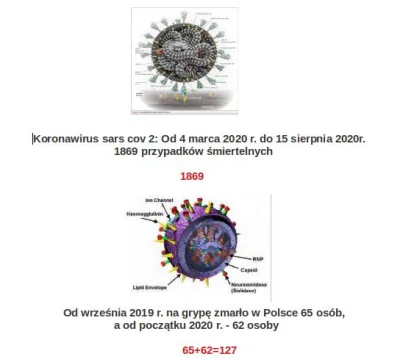 bioslawek - @TarFilar: Koronawirus kontra grypa - statystyki!

https://tvn24.pl/pol...