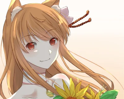 LatajacaPapryka512 - #holo #horo #spiceandwolf #ookamitokoushinryou #randomanimeshit ...