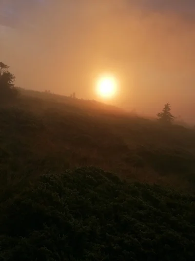 pawelus6 - @Sztoja:
Tu jeszcze foto słońca za mgła o której mówiłeś