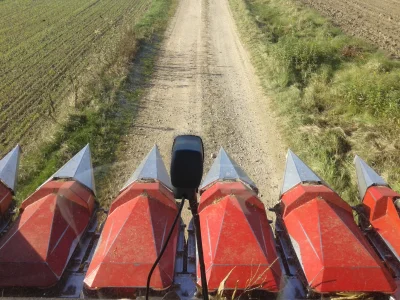 RolnikSamWdolinie - Jest w tej chwili sezon na zbiór kukurydzy na ziarno i jako że po...