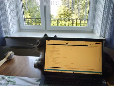 LeopoldStuff - Lubicie pair programming? Bo mój kot bardzo!

#programowanie #hehesz...