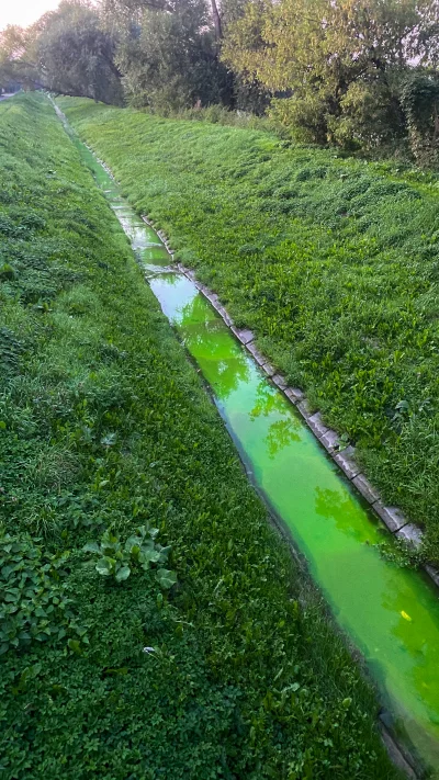 Brajanusz_hejterowy - ( ͡º ͜ʖ͡º) zielona woda