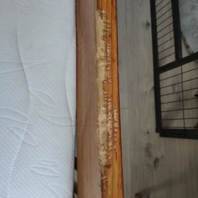 dadas123456789 - #remontujzwykopem
#remont
#drewno

pies zjadł mi kawałek łóżka, jak ...