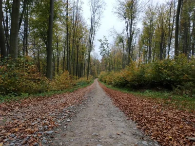 on_12cm - szkoda, że jestem słaby w zdjęcia, nie mam sprzętu, czasu ani kasy

bo po...