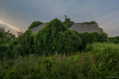 nightmeen - Natura już go prawie całego pochłonęła...

Zapraszam do obserwowania mo...