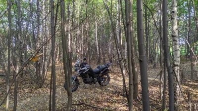 brick - Ogunie to sprawdzam czy w lesie nie ma linek..


SPOILER

#motocykle #motowun...