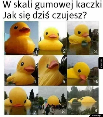 pewnie-kaczka - 7 quack ( ͡° ʖ̯ ͡°)