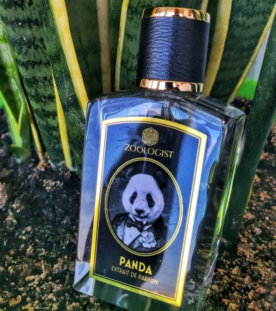drlove - #perfumy #150perfum 232/150
Zoologist Panda (2017)

Panda czyli bambus. D...