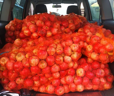 rafalopr - Pozdrawiam z Polski B ( ͡° ͜ʖ ͡°) 

3 godzinki zbierania, ok 350kg jabłek,...