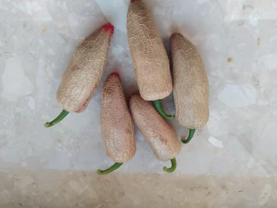 Rembrant - Jalapeno market potato 

#chilihead