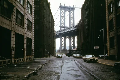 myrmekochoria - Nowy Jork, lata 70. XX wieku. 

#starszezwoje - blog ze starymi gra...