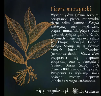 Gulosus - Pieprz murzyński - przyprawa niepoprawna politycznie

W średniowieczu przyp...
