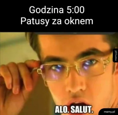 orzechowakawa - #humorobrazkowy #takaprawda #patologiazmiasta