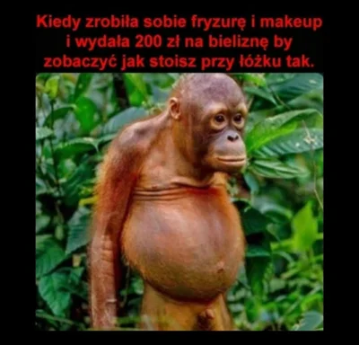 illa_a - #heheszki #humorobrazkowy