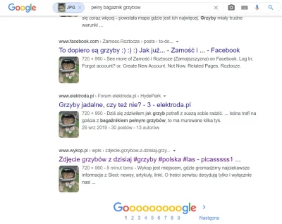 Wykopaliskasz - > Zdjęcie grzybów z dzisiaj

@picasssss1: Screen z dzisiaj.

Czek...