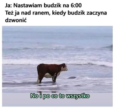 robakkkkk01 - No właśnie...