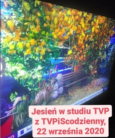 jaxonxst - Skrót wiadomości TVP: września 2020 #tvpiscodzienny tag do obserwowania. W...