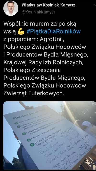 Wiggum89 - #polityka #polska #neuropa #4konserwy