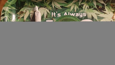 Vitass - A może by tak przemyśleć swoje życie?

 #420 #marihuana #wykopjointclub #n...