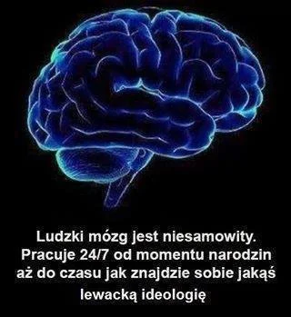 Franusss - Kogoś mocno przegięło w lewą stronę.