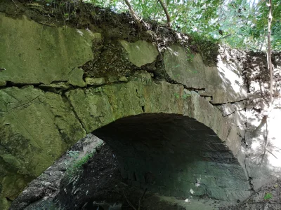 wjtk123 - Pośród pół, łąk i zagajników Małopolski sfotografowałem taki oto ukryty, ka...