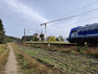 machobuzon - Co 10 minut jeżdżą pociągi i dają sygnały dźwiękowe bo dwa lata temu kto...