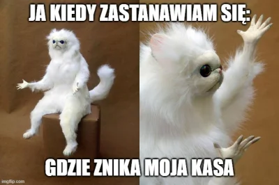 zgarnijpremie - Promocje mogą pomóc na problem znikającej kasy (╯°□°）╯︵ ┻━┻

AKTUAL...