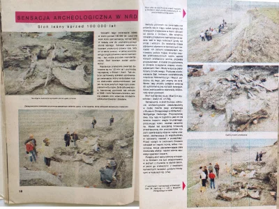 Hektar4 - Dziś zapraszam na sensacyjne odkrycie archeologiczne w NRD ( ͡° ͜ʖ ͡°) Miłe...