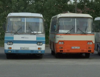 yolantarutowicz - Kto to widział niemiecką linią i autobusami jeździć? Polskiej konku...