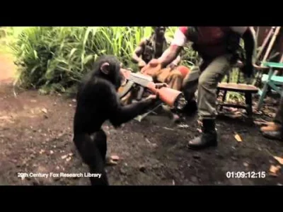 jaKlaudiusz - @Gibi: Jakby dał na ratowanie szympansów w Afryce... większe korzyści b...
