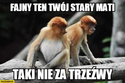 yolantarutowicz - Stabilnie.