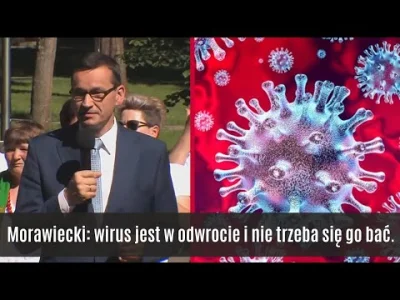 tekbbar - ale przecież niedawno pinokio zapewniał że :