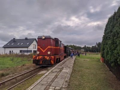 sylwke3100 - Bytomska ciufcia wąskotorowa stoi sobie na przystanku Tarnowskie Góry Ko...