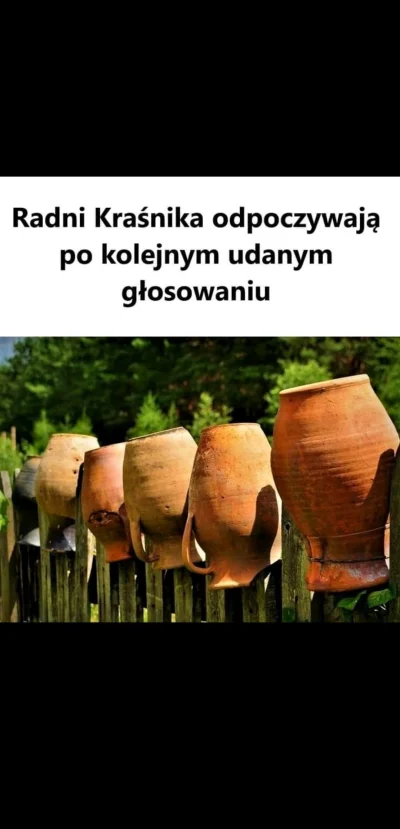 Koniec_Imprezy - Już po głosowaniu ( ͡° ͜ʖ ͡°)