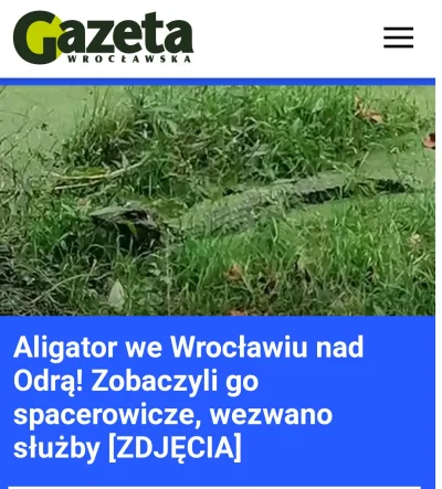 czechu92 - We Wrocławiu stabilnie. Jak nie zgniesz w wypadku tramwaju czy nie porwą c...