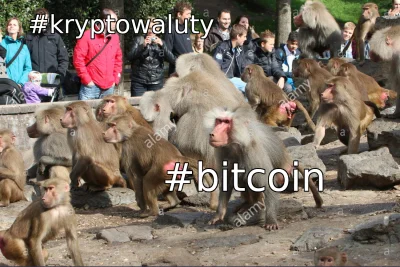 cyborgkombat - #kryptowaluty #bitcoin #heheszki