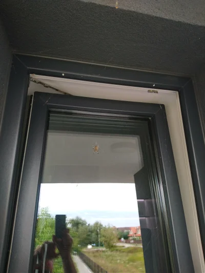 Giganum - Dzień dobry murki.

Jest taka sytuacja, że na balkonie w naszym domu, w okn...