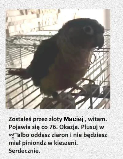 Pangia - to ja też dam mema bo mi po głowie to chodziło od jakiegoś czasu
#maciekcon...