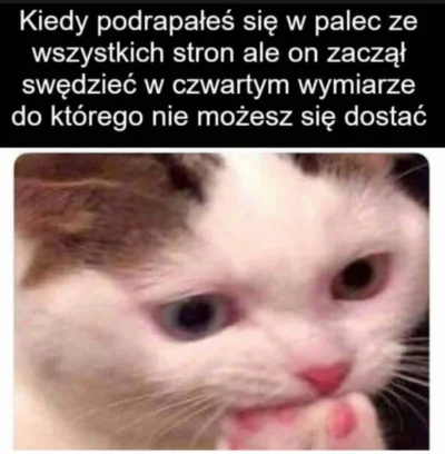 Siwarusalka - O tak ( ಠಠ)
#heheszki #humorobrazkowy #memy