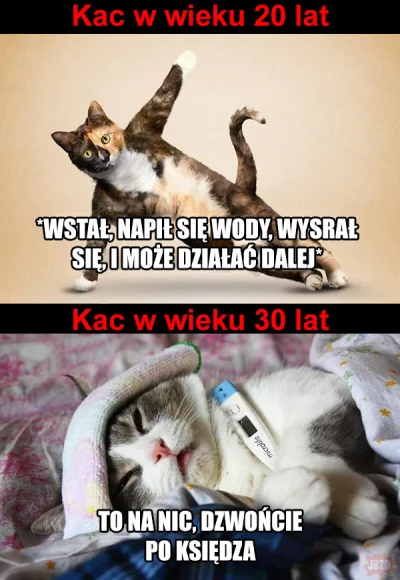 maxx92 - #heheszki #humorobrazkowy #kac #koty #alkohol
