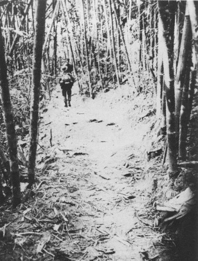 SirGodber - #vietnamwar #wojna #historia #historiajednejfotografii

Polnocnowietnamsc...