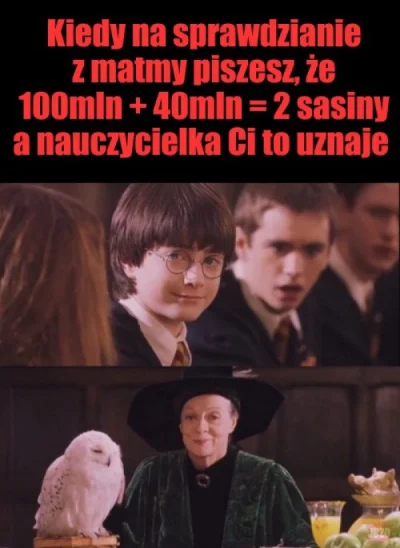 GlupiPajonk - #harrypotter #sasin #heheszki