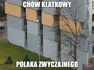 KrolOkon - @suqmadiq2ama: Standard trochę lepszy jak na akademikach ( ͡° ͜ʖ ͡°) Ale q...