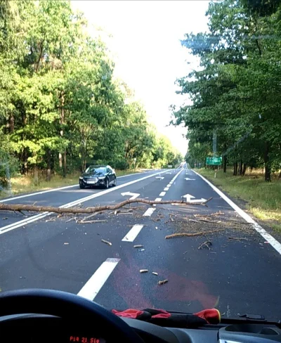 Mleko - Latem tego roku jechałem przez Polskę i drodze krajowej na leśnym odcinku jak...