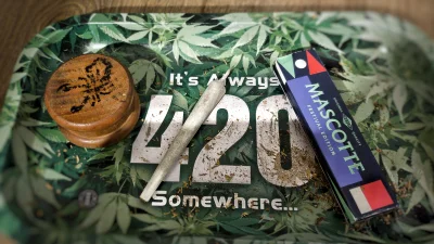 Vitass - !1 #420 #wykopjointclub #marihuana #narkotykizawszespoko