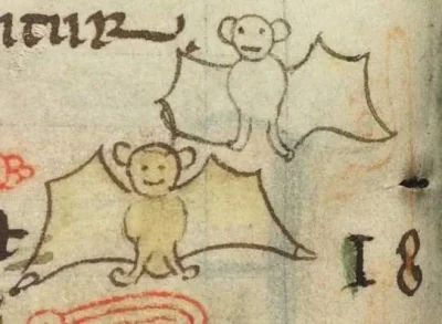 oszty - Nietoperze ze średniowiecznego manuskryptu (｡◕‿‿◕｡)
#heheszki #zwierzaczki #...