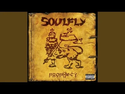 evolved - ubóstwiam ( ( ͡° ͜ʖ ͡°) ) ten fragment od 1:55

#muzyka #metal #soulfly