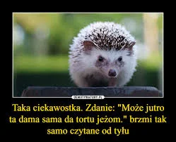 januszzczarnolasu - ( ͡° ͜ʖ ͡°)