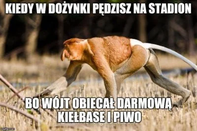 smoczewski - @kiciupiciu: o dozynki uwielbiam