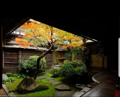 un_espoir - piękne


#ogrod #ogrodnictwo #fotografia #japonia

 #namaste